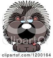 Drunk Porcupine Porcupet