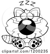 Cartoon Of A Black And White Cute Sleeping Red Panda Cub Royalty Free Vector Clipart