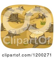 Poster, Art Print Of Clear Cut Area Of Tree Stumps
