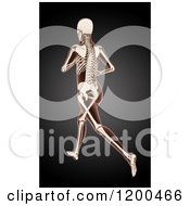 Poster, Art Print Of 3d Running Female Medical Model With Visible Skeleton On Black