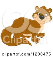 Poster, Art Print Of Cute Brown Otter