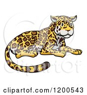 Poster, Art Print Of Cute Jaguar Resting