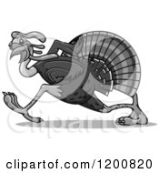 Poster, Art Print Of Grayscale Running Turkey Bird