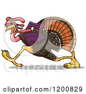 Poster, Art Print Of Running Gobbler Turkey Bird