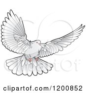 Clipart Of A Grey Dove Flying Royalty Free Vector Illustration by Lal Perera #COLLC1200852-0106
