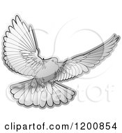 Clipart Of A Silver Dove Flying Royalty Free Vector Illustration