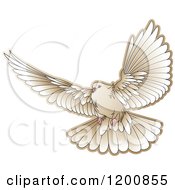 Clipart Of A Brown Dove Flying 2 Royalty Free Vector Illustration