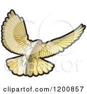 Poster, Art Print Of Gold Dove Flying