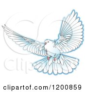 Poster, Art Print Of White Dove Flying