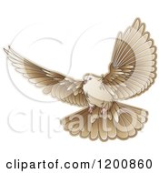 Poster, Art Print Of Brown Dove Flying