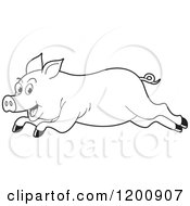 Poster, Art Print Of Black And White Outlined Running Pig