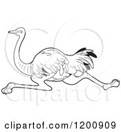 Cartoon Of A Black And White Running Ostrich Royalty Free Vector Clipart by Lal Perera
