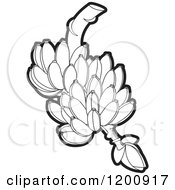 Clipart Of A Fresh Bunch Of Black And White Bananas Royalty Free Vector Illustration