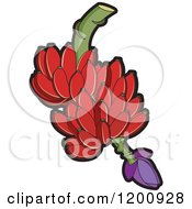 Clipart Of A Fresh Bunch Of Red Bananas Royalty Free Vector Illustration by Lal Perera
