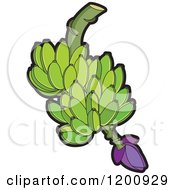 Clipart Of A Fresh Bunch Of Green Bananas Royalty Free Vector Illustration