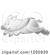 Poster, Art Print Of Reflective Silver Running Pig