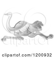 Cartoon Of A Reflective Silver Running Ostrich Royalty Free Vector Clipart