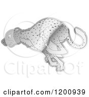 Poster, Art Print Of Reflective Silver Running Cheetah