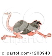 Cartoon Of A Running Ostrich Royalty Free Vector Clipart by Lal Perera