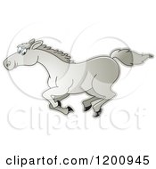 Poster, Art Print Of Gray Running Horse