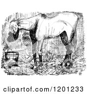 Poster, Art Print Of Vintage Black And White Horse Overworked Mayor