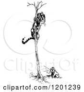 Clipart Of A Vintage Black And White Dog Chasing A Tiger In A Tree Royalty Free Vector Illustration by Prawny Vintage