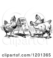 Clipart Of A Vintage Black And White Egg Sign And Chickens Royalty Free Vector Illustration