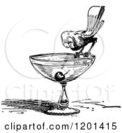Clipart Of A Vintage Black And White Bird Eyeing A Cherry On A Drink Glass Royalty Free Vector Illustration