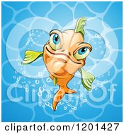 Poster, Art Print Of Smiling Orange Fish In Blue Water