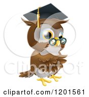 Poster, Art Print Of Pointing Professor Owl With Glasses And Graduation Cap