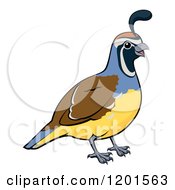 Cartoon Of A Happy Male California Quail Bird Royalty Free Vector Clipart by AtStockIllustration