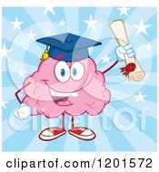 Pink Brain Mascot Graduate Holding Up A Diploma Over Blue Rays And Stars
