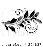 Poster, Art Print Of Black And White Flourish With A Shadow 13