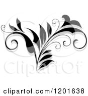 Poster, Art Print Of Black And White Flourish With A Shadow 12