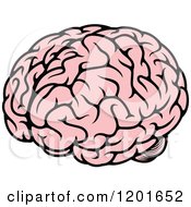 Clipart Of A Pink Human Brain Royalty Free Vector Illustration