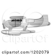 Small Silver Seaplane