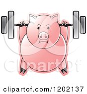 Poster, Art Print Of Fit Pig Exercising With A Heavy Barbell
