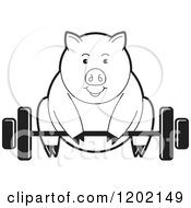 Poster, Art Print Of Black And White Fit Pig Exercising And Lifting A Barbell