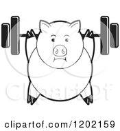 Poster, Art Print Of Black And White Fit Pig Exercising With A Heavy Barbell