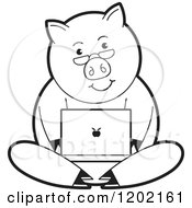 Poster, Art Print Of Black And White Pig Using A Laptop Computer