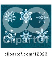 Poster, Art Print Of 6 Snowflake Designs