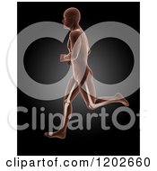 Poster, Art Print Of 3d Profiled Running Xray Man With Visible Leg Bones On Black