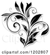 Poster, Art Print Of Black And White Flourish With A Shadow 14