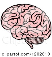 Clipart Of A Pink Human Brain 2 Royalty Free Vector Illustration