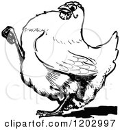 Clipart Of A Vintage Black And White Oz Hen Royalty Free Vector Illustration