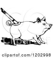 Clipart Of A Vintage Black And White Oz Pig Royalty Free Vector Illustration by Prawny Vintage