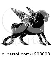 Poster, Art Print Of Vintage Black And White Winged Horse