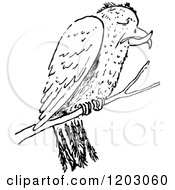 Poster, Art Print Of Vintage Black And White Crossbill Bird