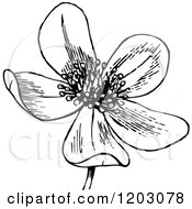 Clipart Of A Vintage Black And White Flower Royalty Free Vector Illustration