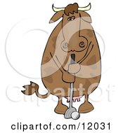 Poster, Art Print Of Brown Cow Putting A Golf Ball